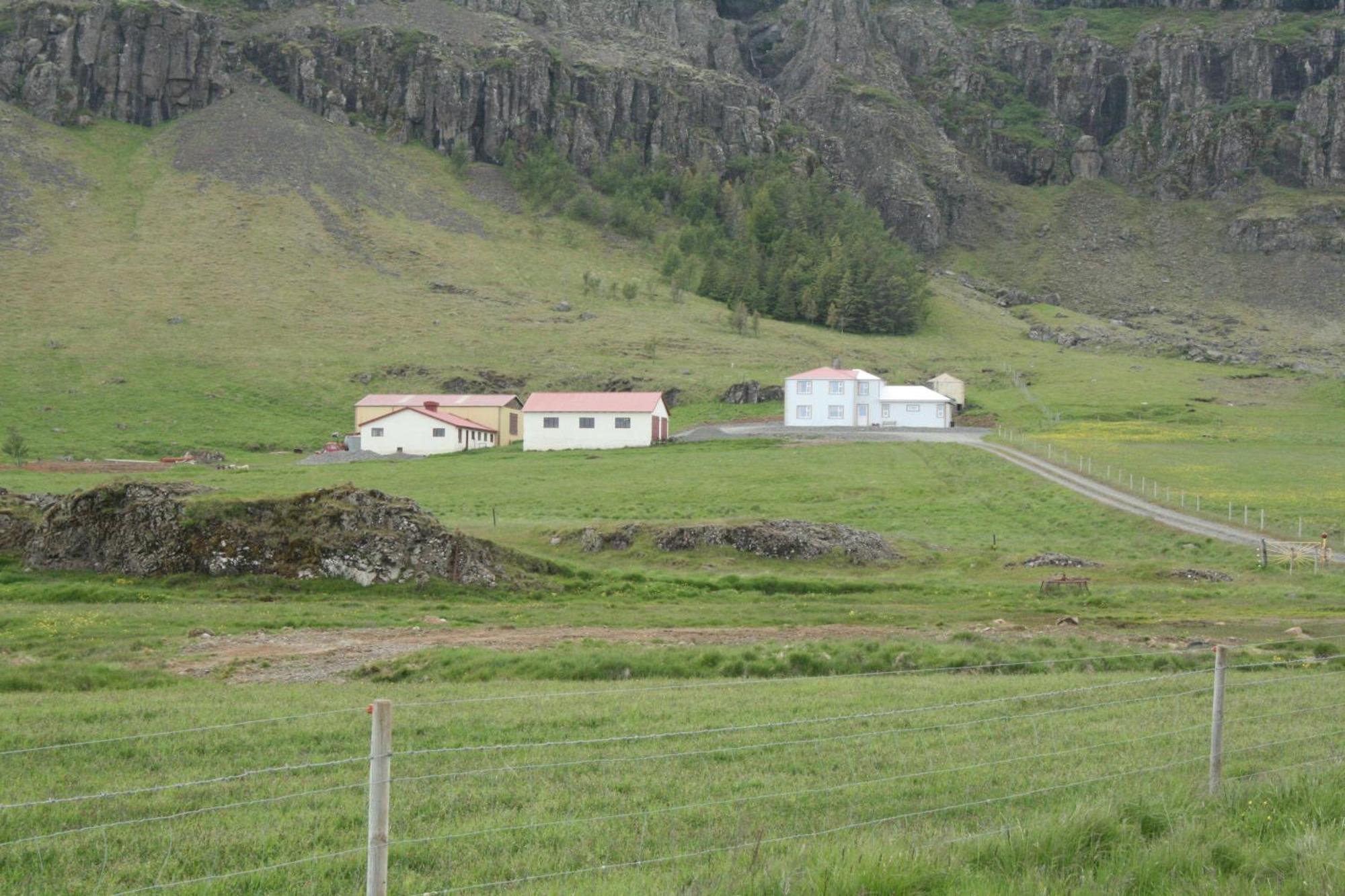 Guesthouse Stekkatún Skálafell Exterior foto